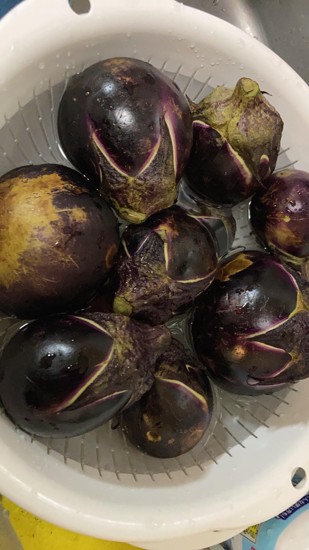 「こんばんは♪」01/16(金) 22:05 | かすみの写メ