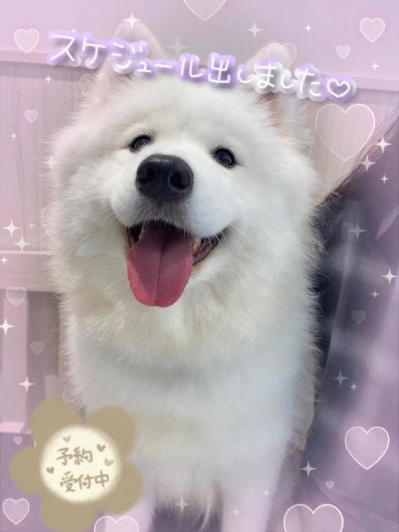 「スケジュールみてね︎」01/17(土) 12:08 | みわの写メ