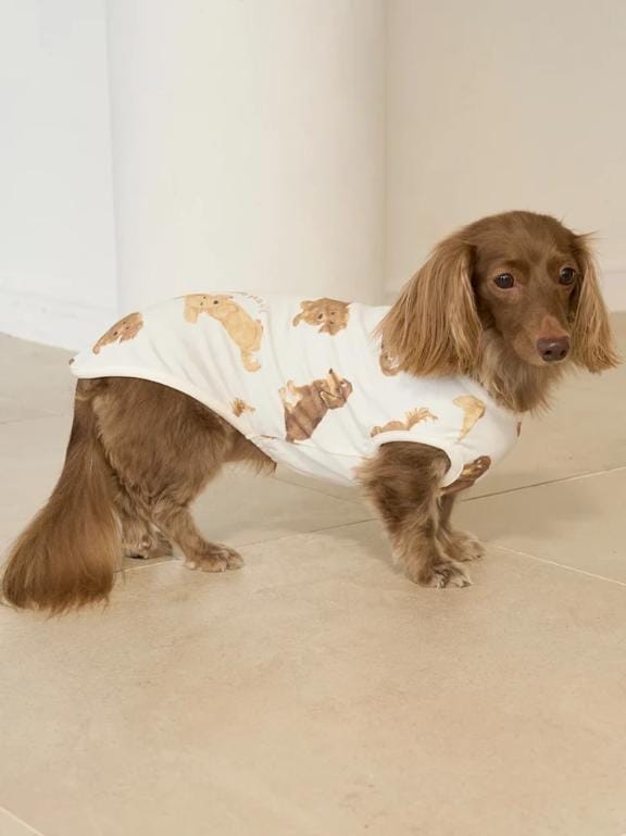 「ジェラピケは神」01/17(土) 13:48 | 水野こころの写メ