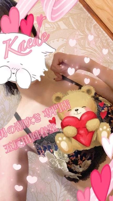 「おしり祭り その３」01/17(土) 20:51 | 楓-かえで-の写メ