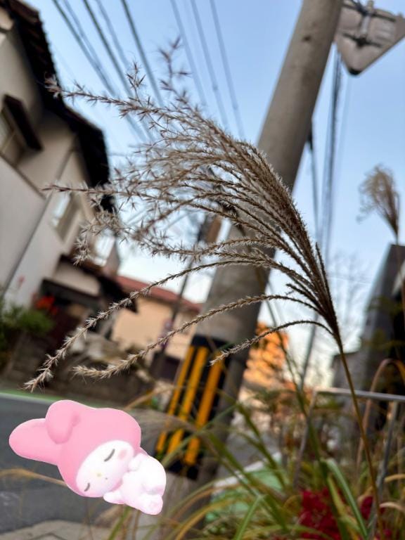 「現実に引き戻される」01/19(月) 00:01 | 和花-NODOKA-の写メ