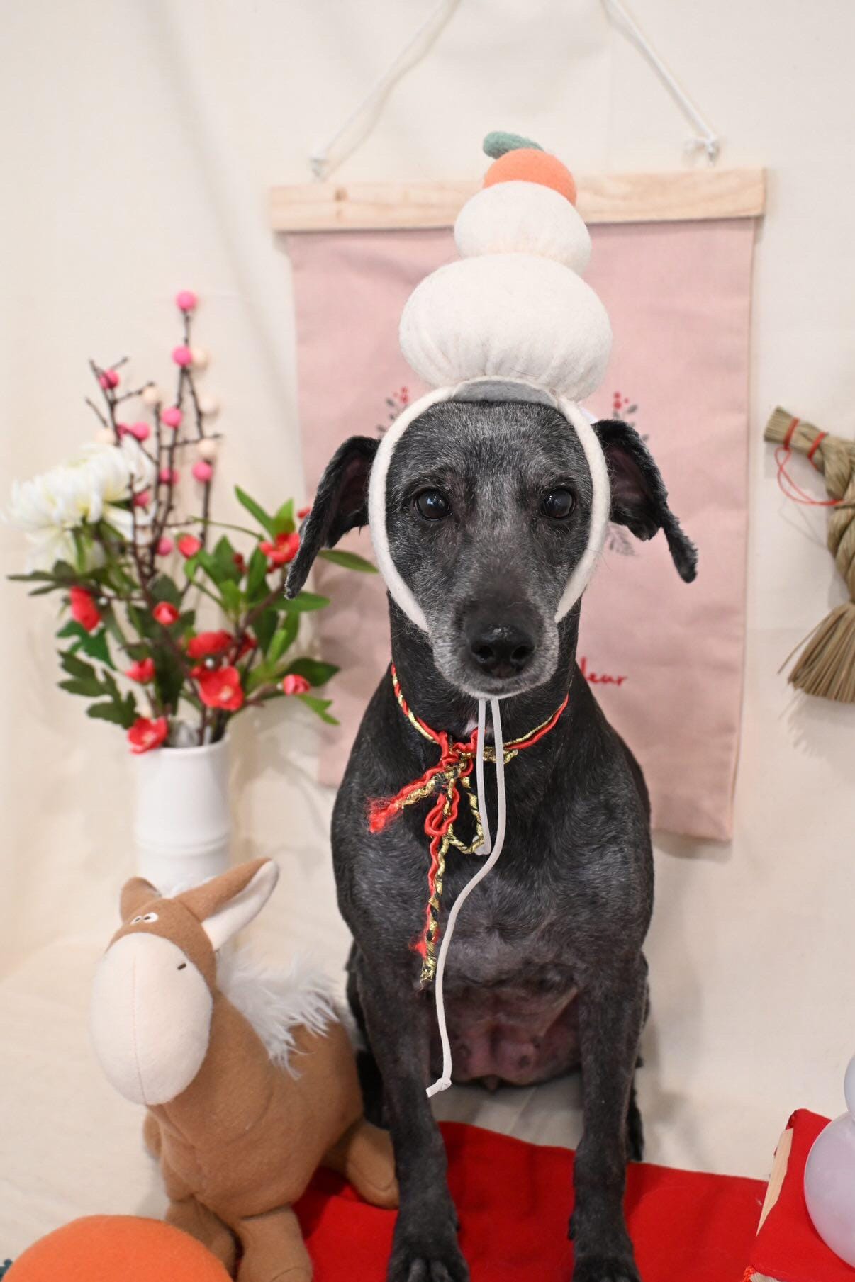 「おはよーぅ！」01/19(月) 10:01 | 【人妻】ましろの写メ