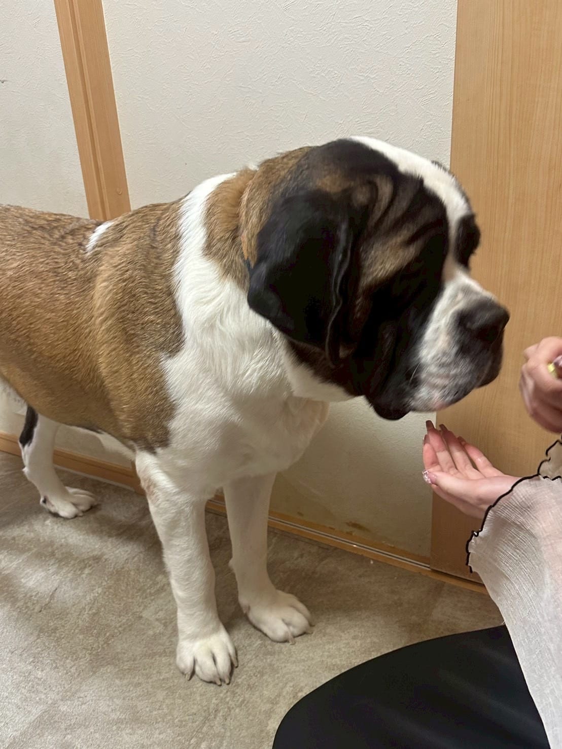 No.75：元宮「18時〜」01/19(月) 14:05 | No.75：元宮の写メ