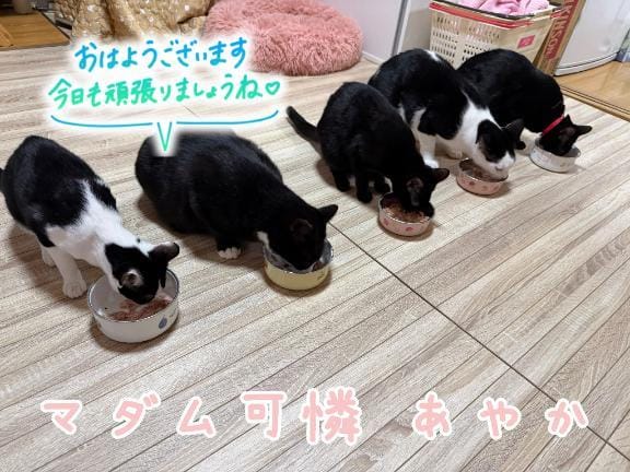 あやか「おはようございます☁️」01/20(火) 08:21 | あやかの写メ