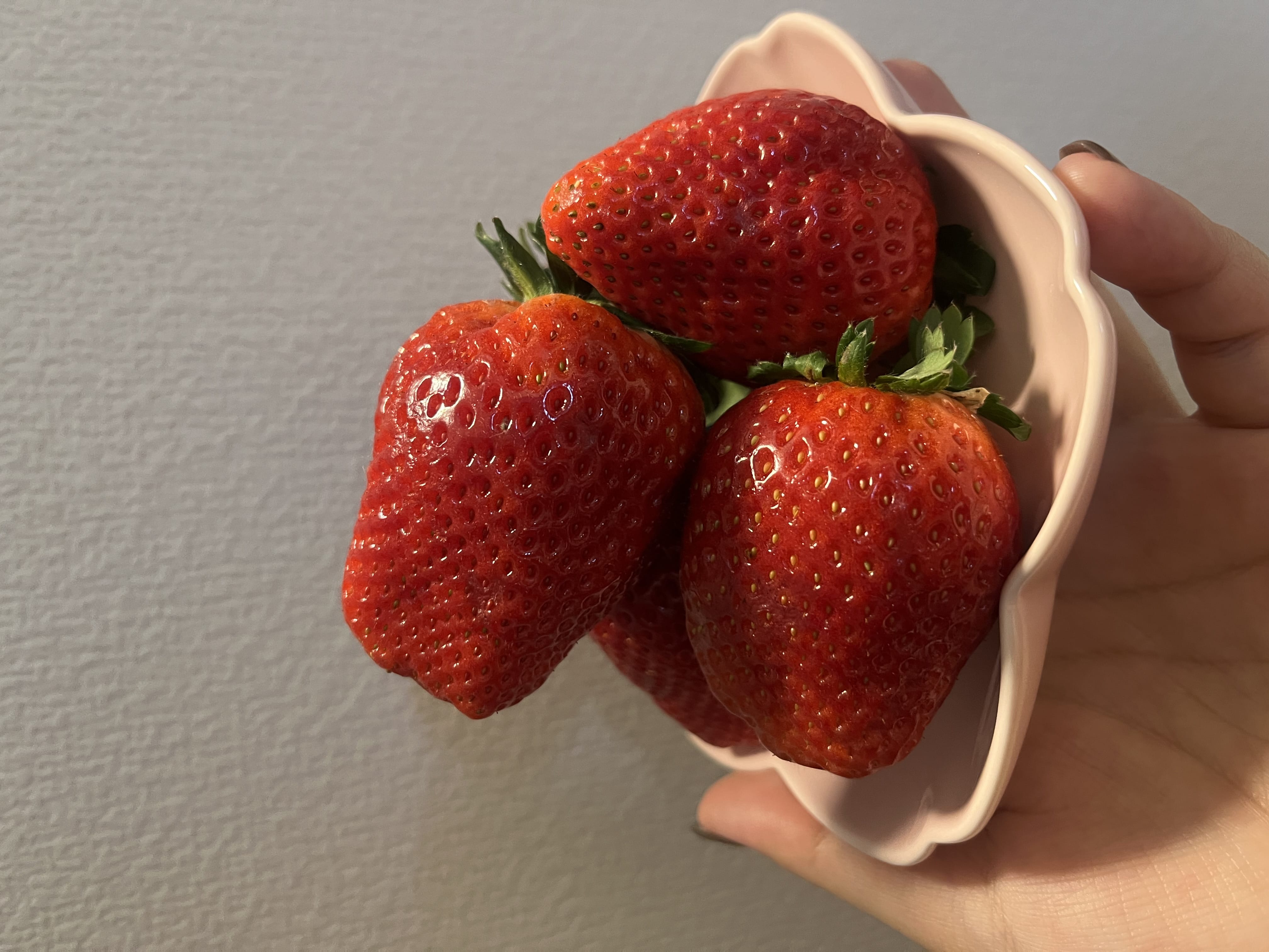 No.60：岡村「」01/20(火) 15:44 | No.60：岡村の写メ