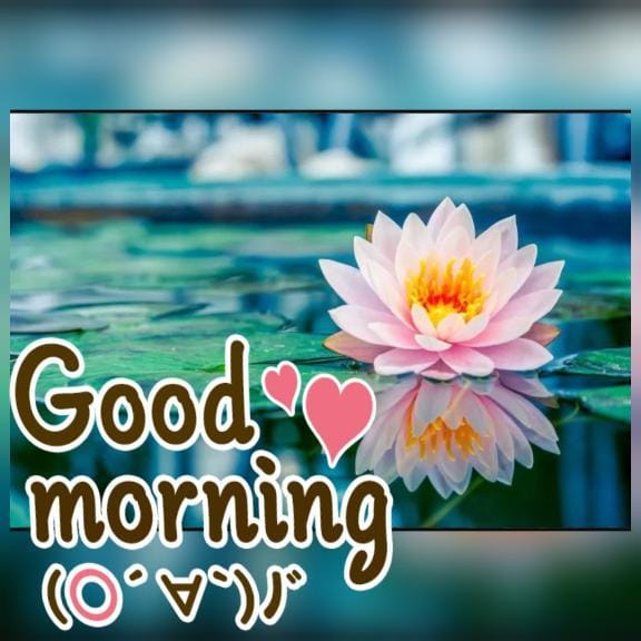 「至福の時間？」01/21(水) 07:50 | 大橋の写メ