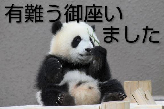 「ありがとう〜❨❩」01/22(木) 03:46 | ひさこの写メ