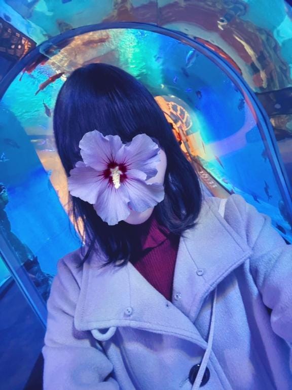 犯罪者予備軍 ギャグ漫画さこの世は