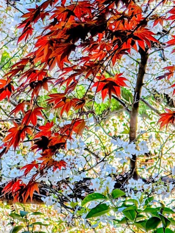 「ごめんなさい」01/22(木) 09:03 | 秋本の写メ