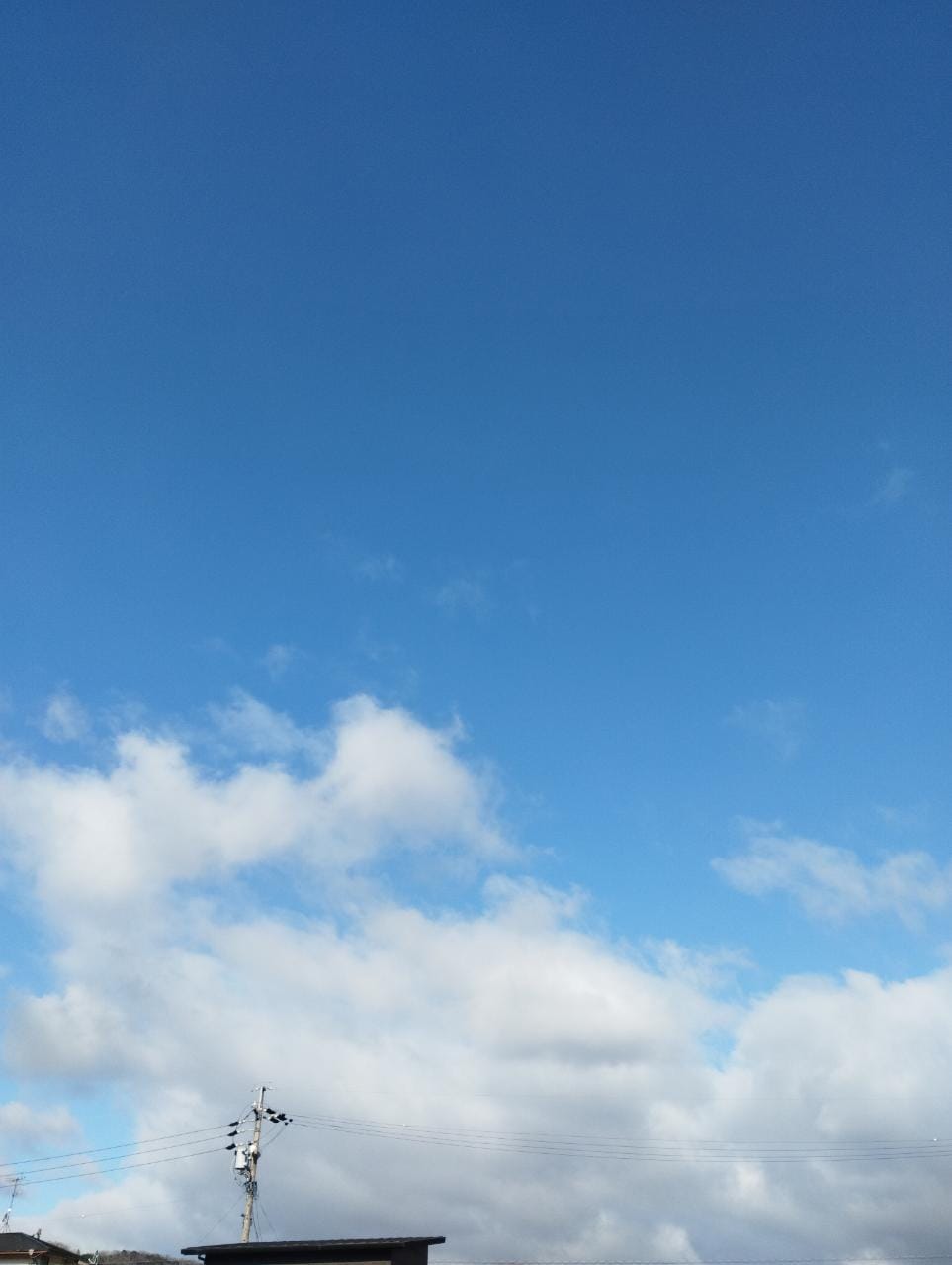 ちさと「おはようございます♫」01/22(木) 09:46 | ちさとの写メ