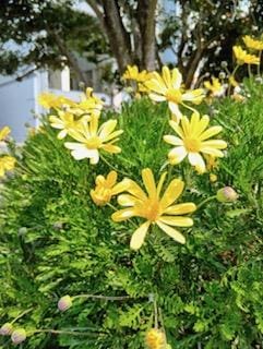 「こんにちわ」01/25(日) 10:58 | さゆりの写メ