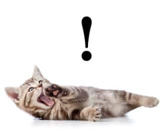 「こんにちわ」01/26(月) 11:03 | さゆりの写メ