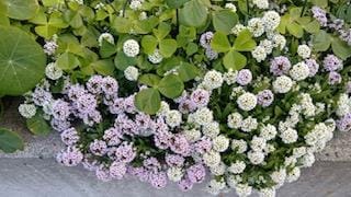 「こんにちわ」01/27(火) 10:59 | さゆりの写メ