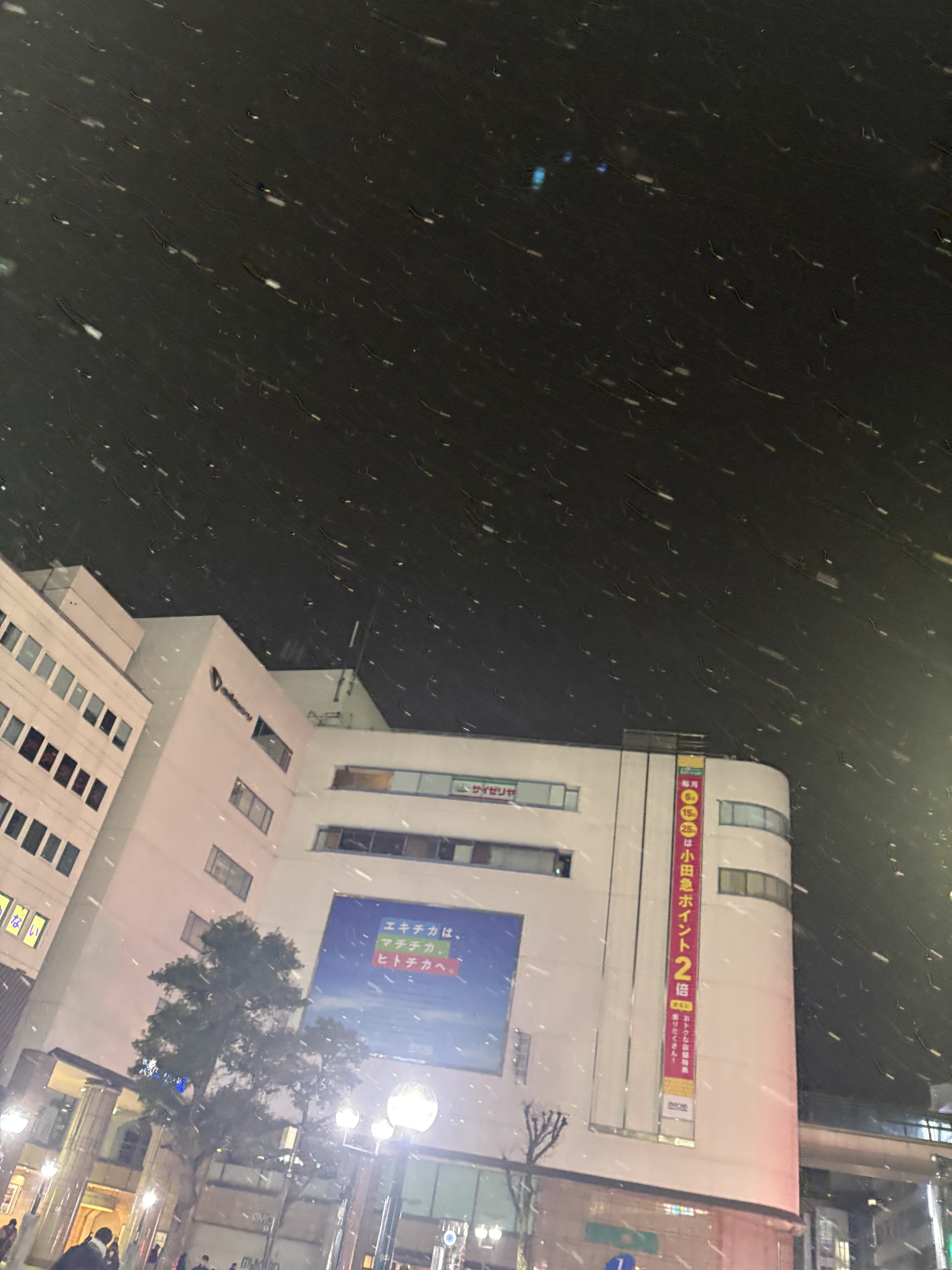 「昨日のはなんだったんだ❄」01/27(火) 15:34 | かずきの写メ