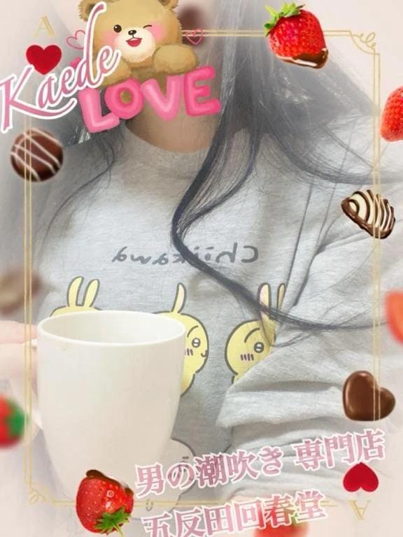 「アン ドゥ シャック」01/28(水) 15:20 | 楓-かえで-の写メ