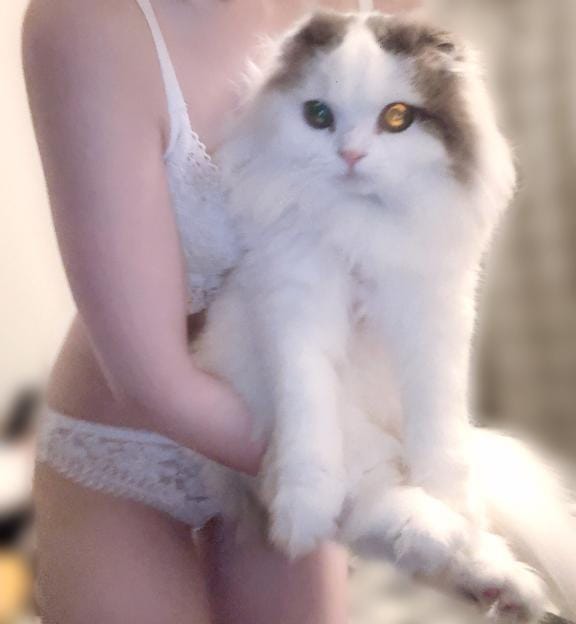 「笑った話」01/28(水) 18:07 | 乃蒼【のあ】の写メ