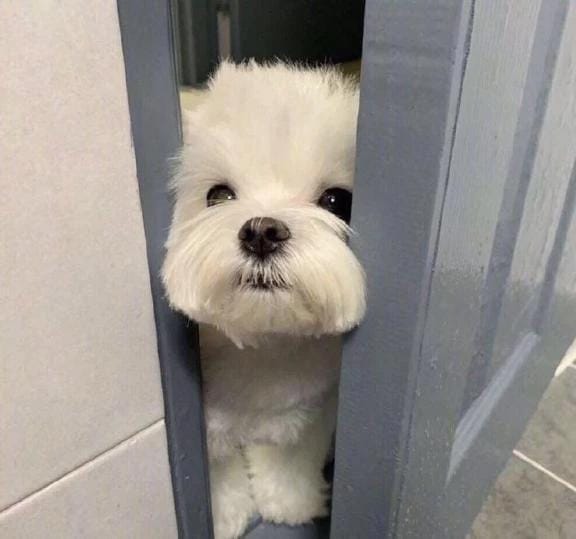 「ご予約完売♡」01/31(土) 04:51 | スモモの写メ