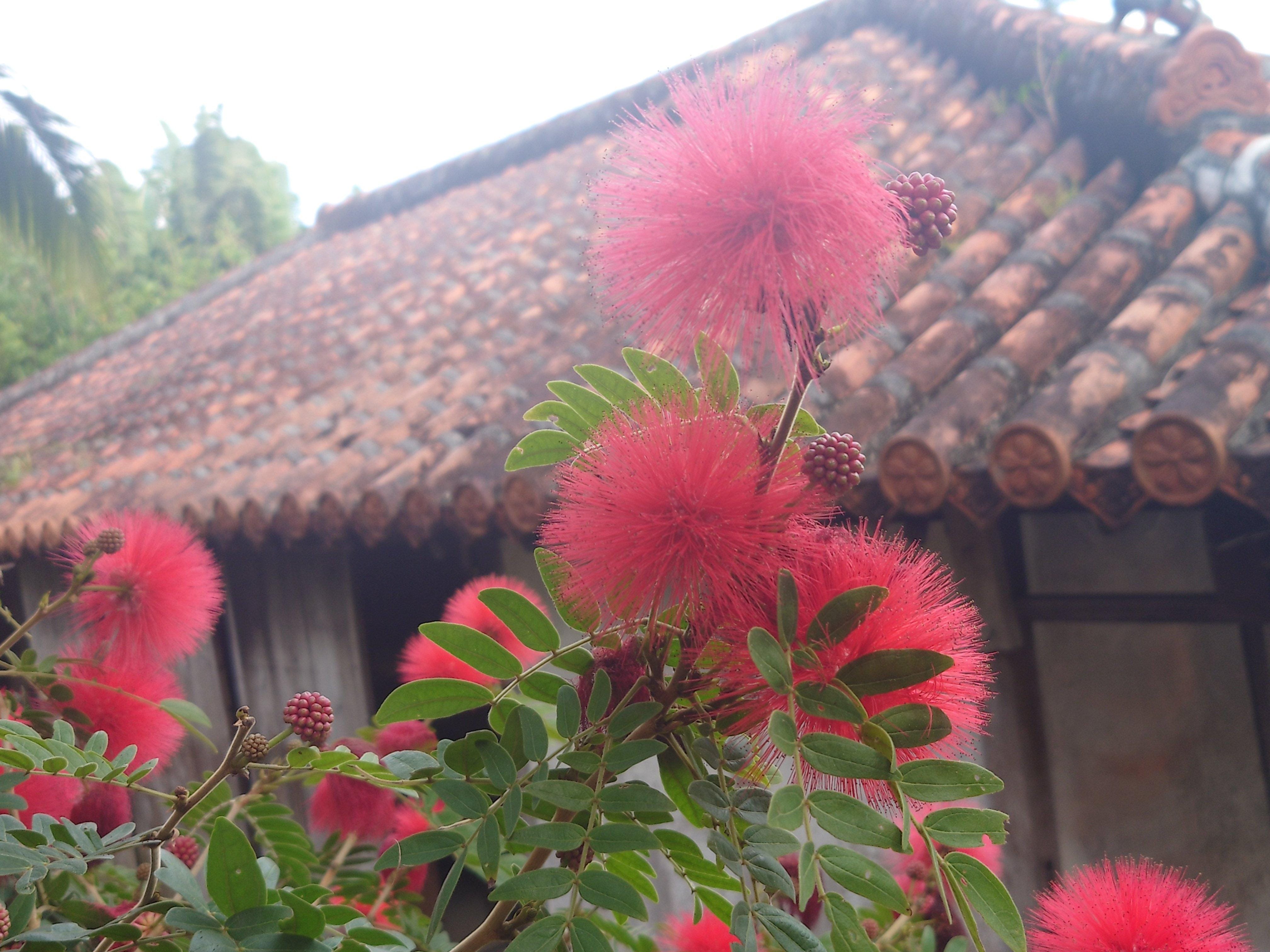 サラ「こんにちは」01/31(土) 12:24 | サラの写メ