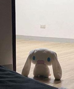 あむ「受終︎」02/01(日) 00:13 | あむの写メ