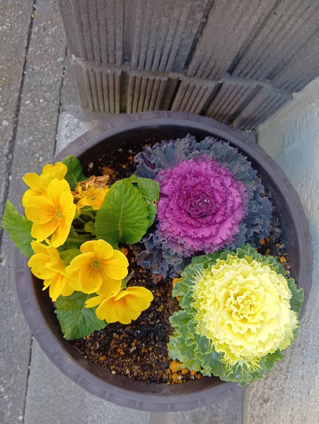 「こんにちわ」02/01(日) 10:58 | さゆりの写メ