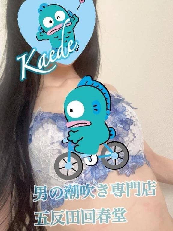 「実は関係してる×××」02/01(日) 15:12 | 楓-かえで-の写メ