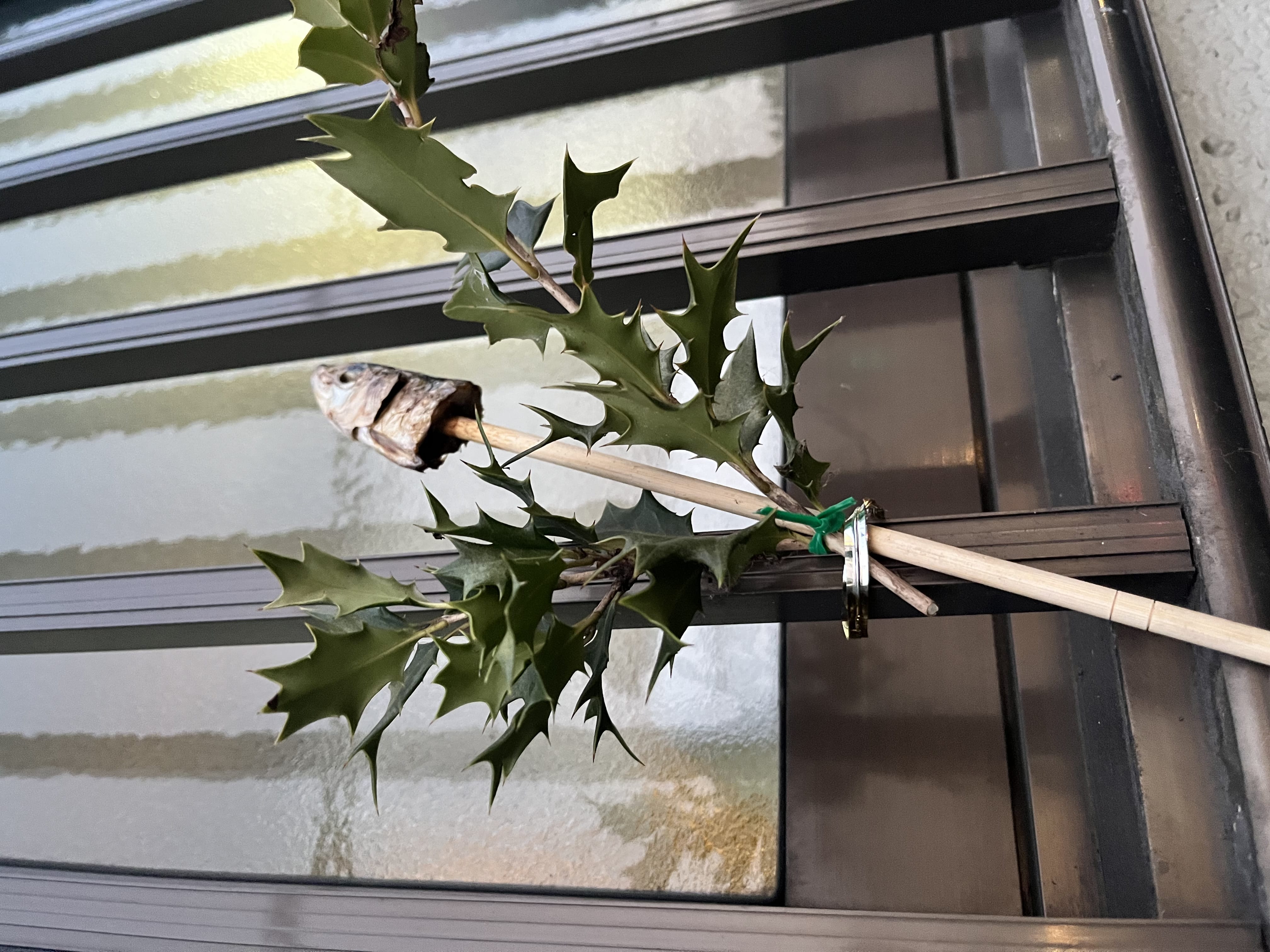 「つむぎです！」02/04(水) 09:25 | つむぎの写メ