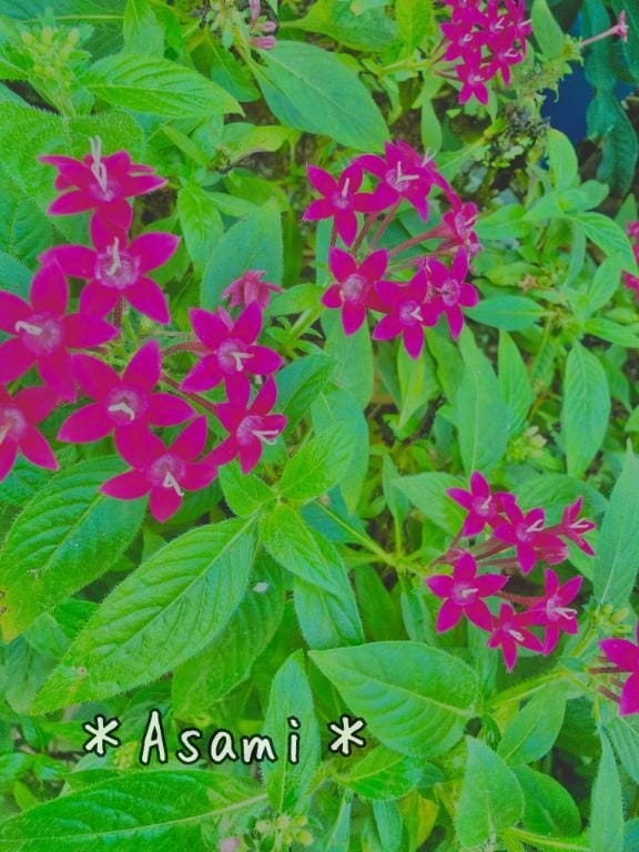 「2/7」02/07(土) 09:02 | 水谷アサミの写メ