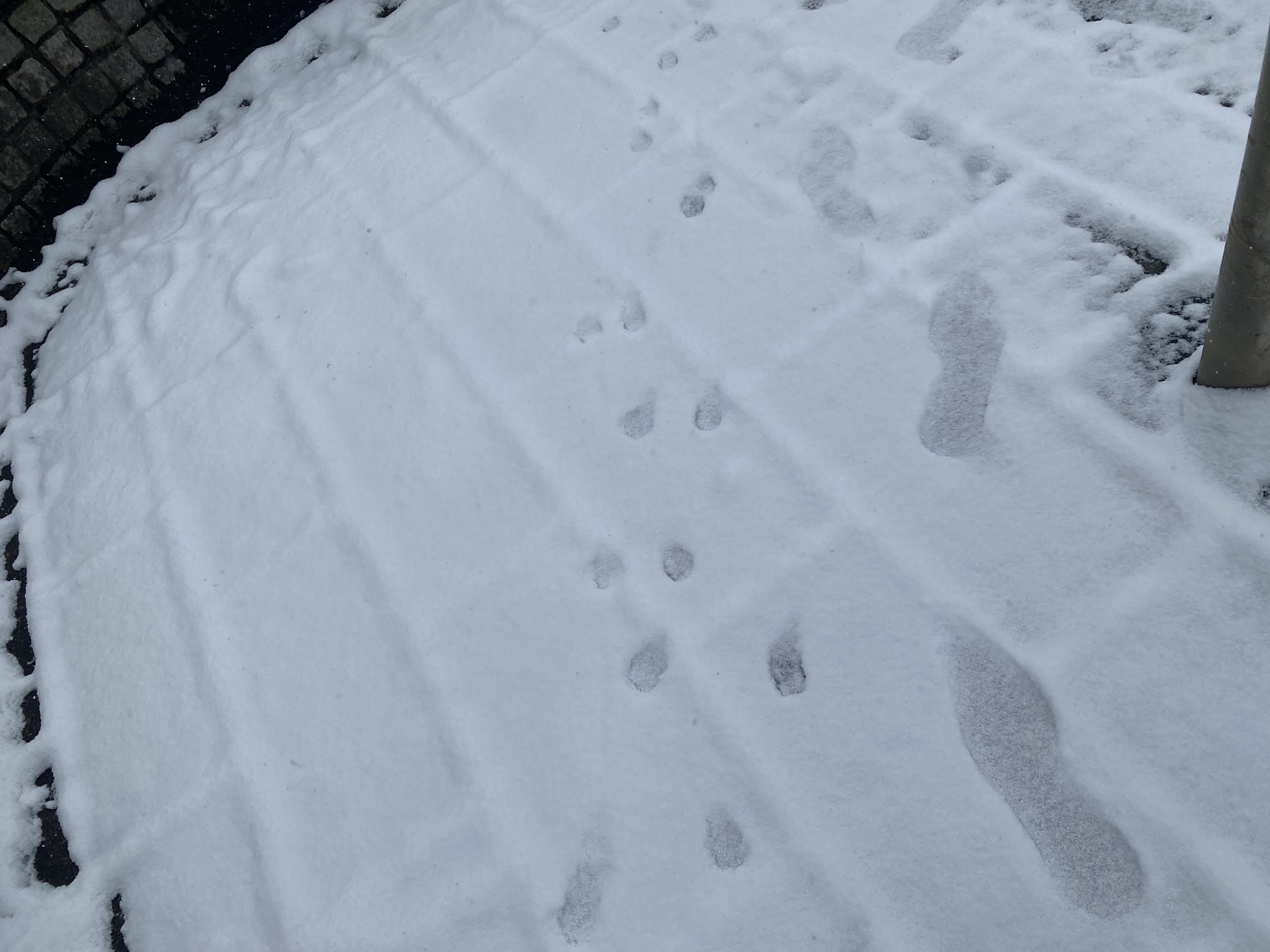 「2026.2.8」02/08(日) 09:23 | あんの写メ