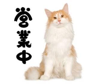 「こんにちわ」02/08(日) 11:09 | さゆりの写メ