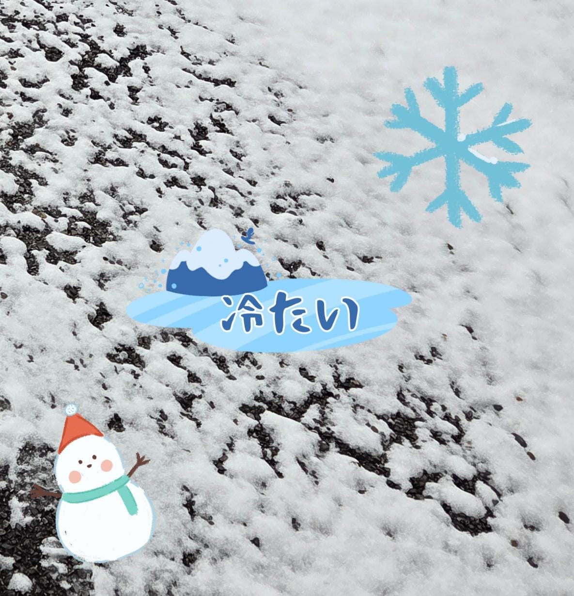 ガクガクブルブルだね☃️