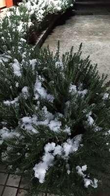 「#2.8」02/08(日) 19:37 | さくらの写メ