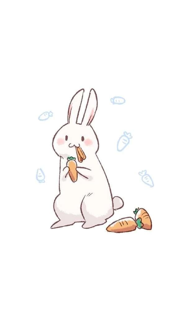 「【アニマル診断】今日の運勢ランキング」02/09(月) 00:33 | 久美子の写メ