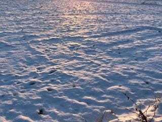 「おはようございます❣️」02/09(月) 08:28 | 淡海の写メ