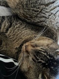 「可愛い〜」02/09(月) 09:01 | 淡海の写メ