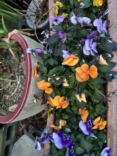 「こんにちわ」02/09(月) 10:57 | さゆりの写メ