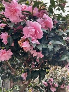 「こんにちわ」02/10(火) 10:50 | さゆりの写メ