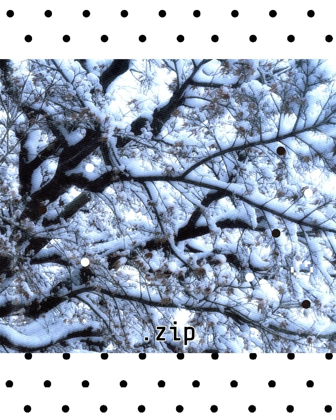 あい「͈ᴗ̀ ̫ᴗ́ ͈」02/10(火) 11:00 | あいの写メ