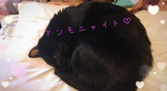 「本当は…………」02/10(火) 14:14 | さやかの写メ