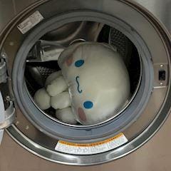 あむ「お休みさせていただきます」02/10(火) 14:31 | あむの写メ