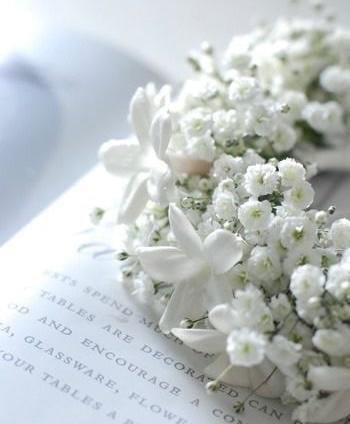 ありがとうございました