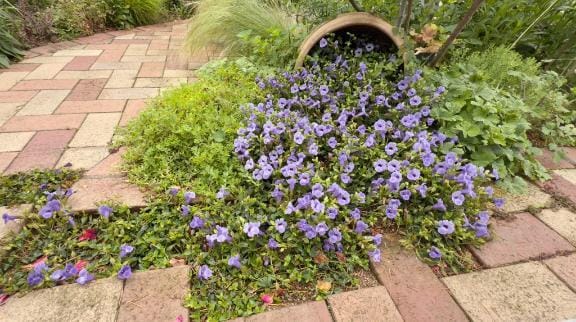 「春が待ち遠しい？」02/10(火) 22:04 | かなみの写メ