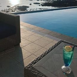 出勤しました(=^・^=)