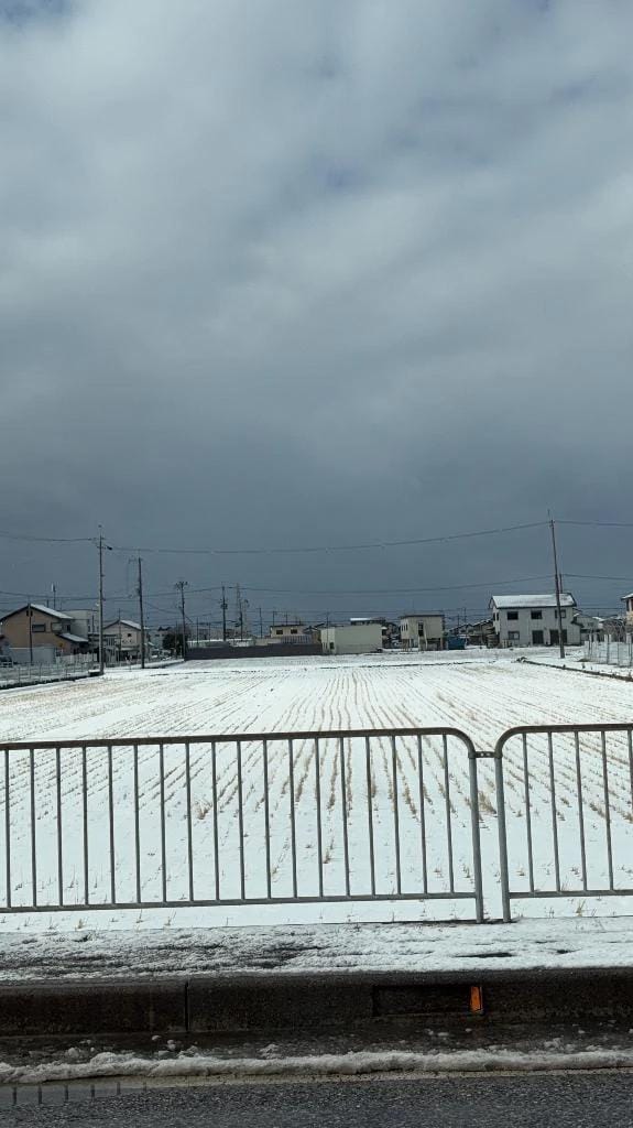 おはようございます☂️