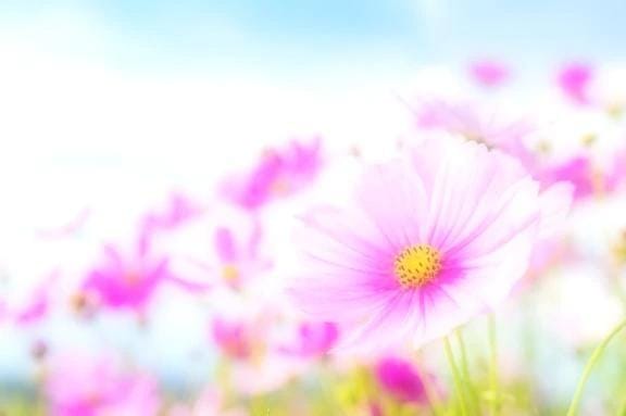 つばさ「すみません」02/11(水) 09:52 | つばさの写メ