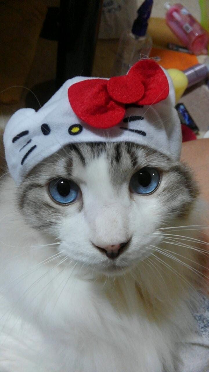 「おはようございます」02/11(水) 09:54 | まりの写メ