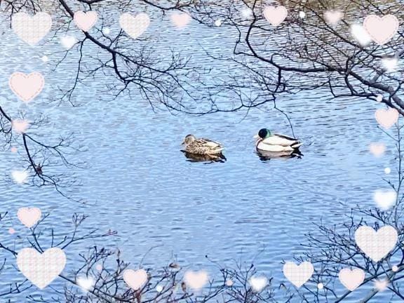 ここあ「ありがとうございました♡」02/12(木) 06:12 | ここあの写メ