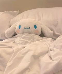 あむ「おやすみなさい(*ˊ˘ˋ*)」02/13(金) 04:41 | あむの写メ