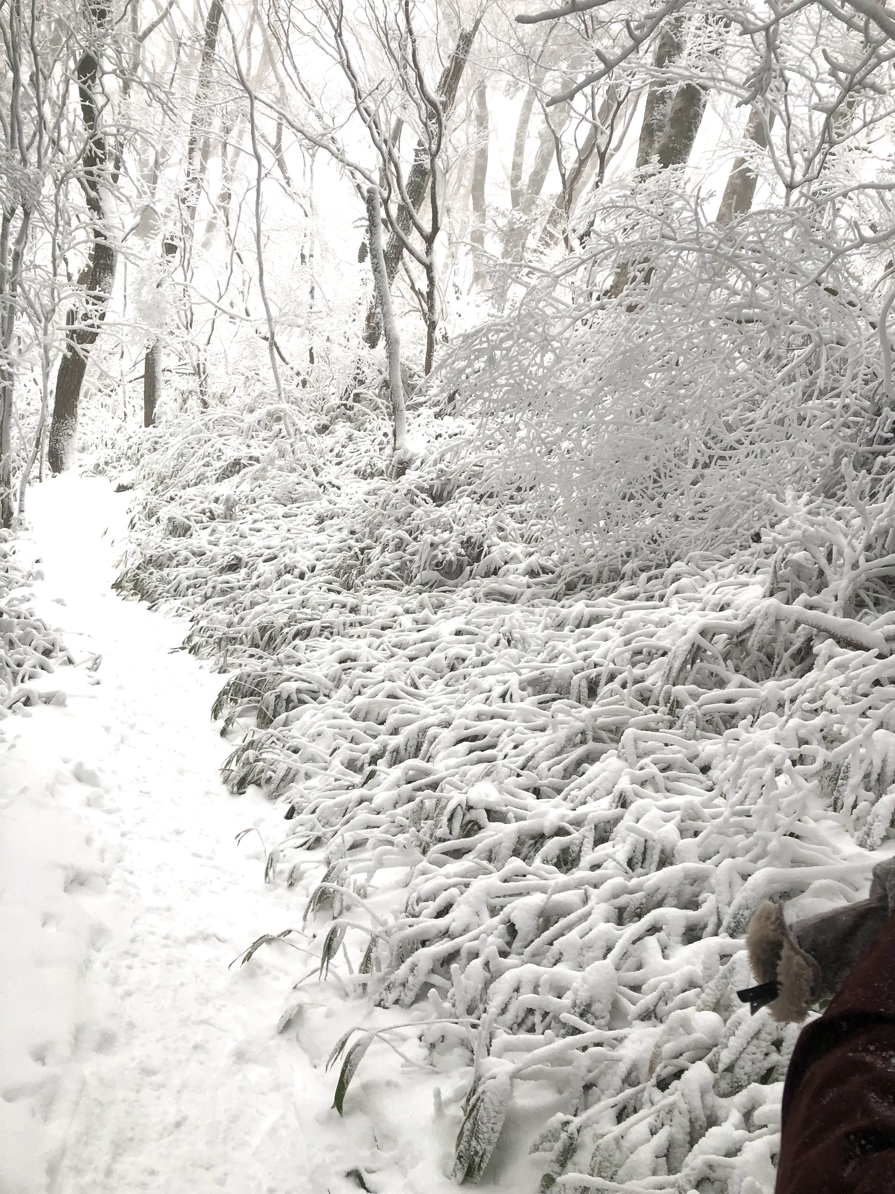 すず♥「初めて。。。」02/13(金) 08:59 | すず♥の写メ