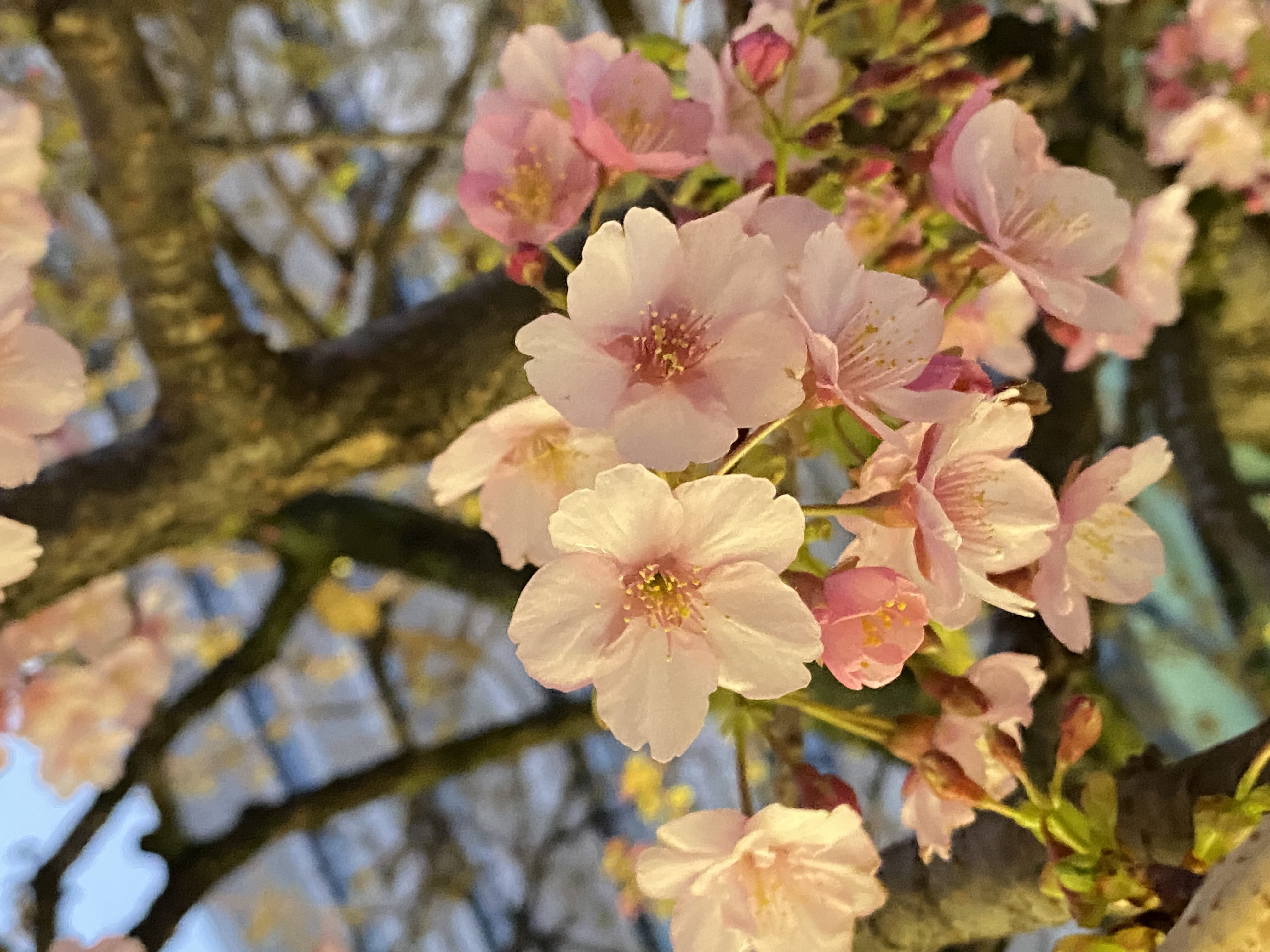 「2026.2.14」02/14(土) 09:27 | あんの写メ