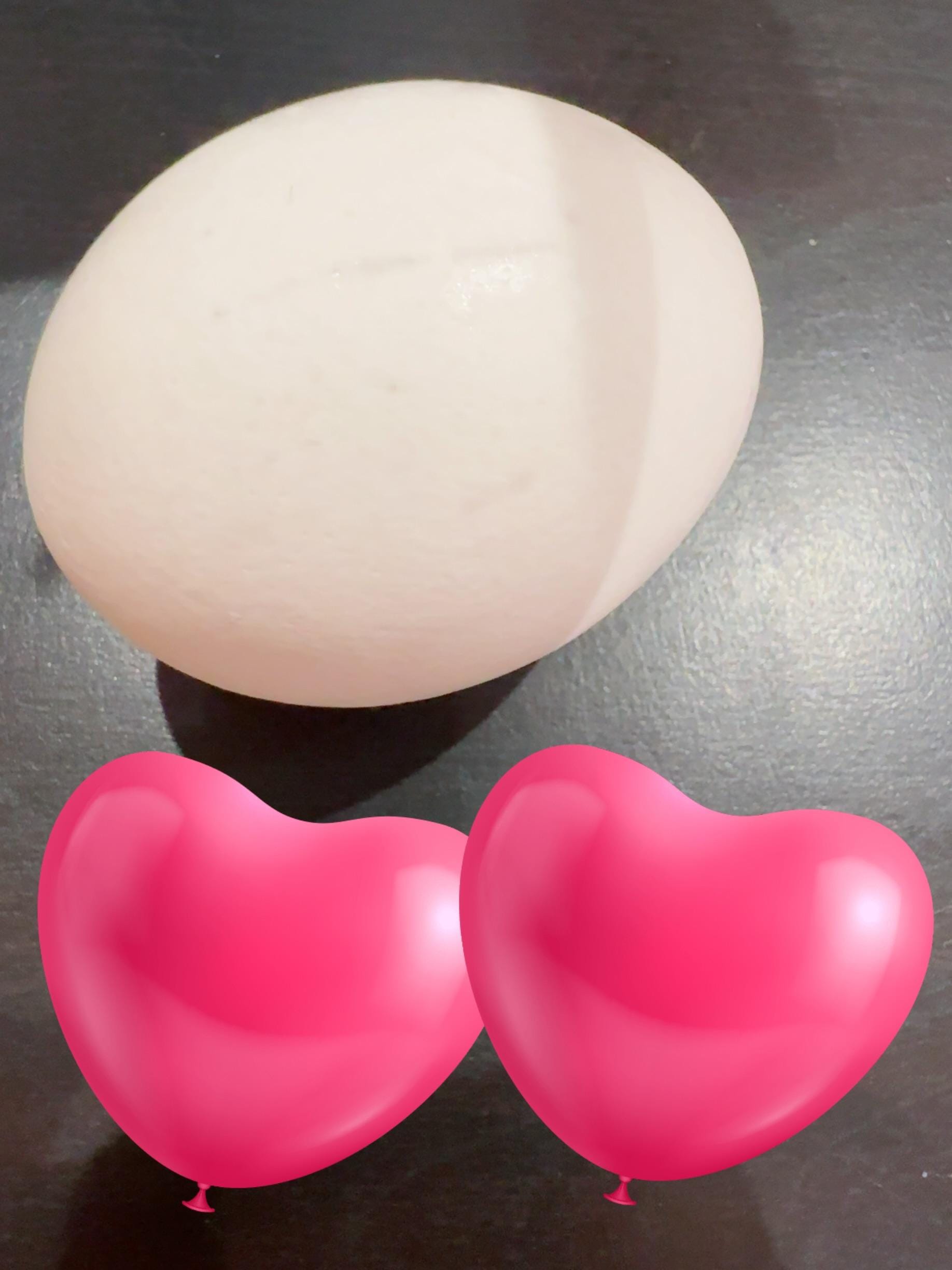 「かけて」02/14(土) 23:09 | せいこの写メ